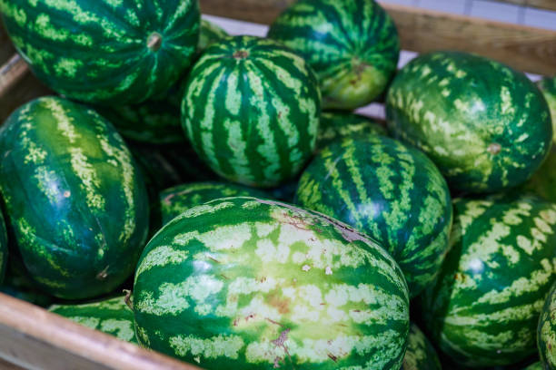 istock Watermelons in the box in the store 1041407456