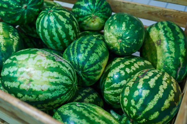 istock Watermelons in the box in the store 1041407530