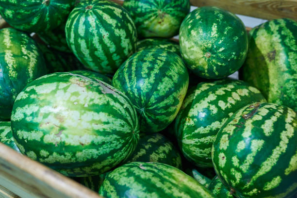 istock Watermelons in the box in the store 1041407858