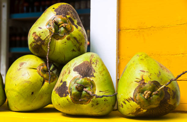 Close-Up Of Coconuts stock photo