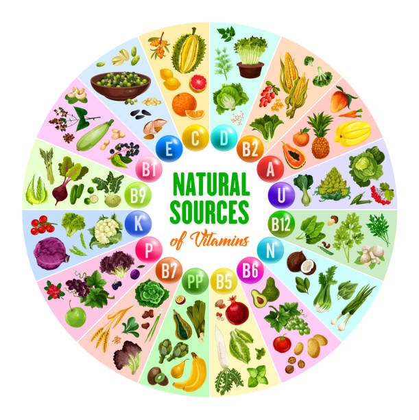 ilustrações, clipart, desenhos animados e ícones de vitamina natural, fontes de alimento vegetariano - vitamin k illustrations