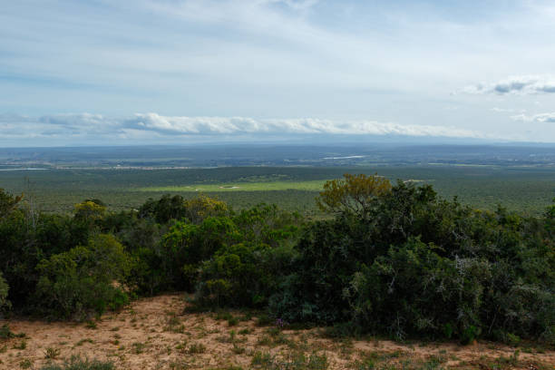 istock Lookout point over the green field 1041413534