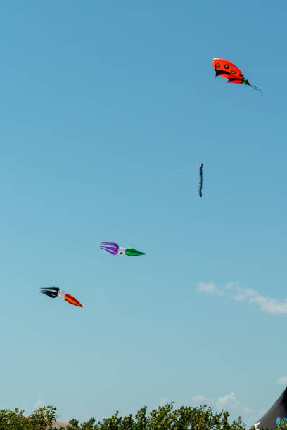 istock Kite competition on a sunny hot day 1041476134
