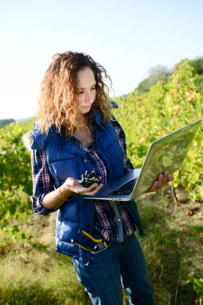 istock cheerful young woman agriculture engineer with a laptop computer in vineyard 1041477396