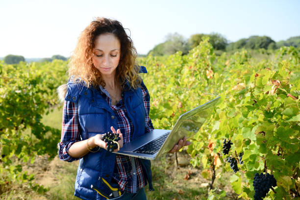 allegro giovane ingegnere agricolo donna con un computer portatile in vigna - women smiling mature adult portrait foto e immagini stock