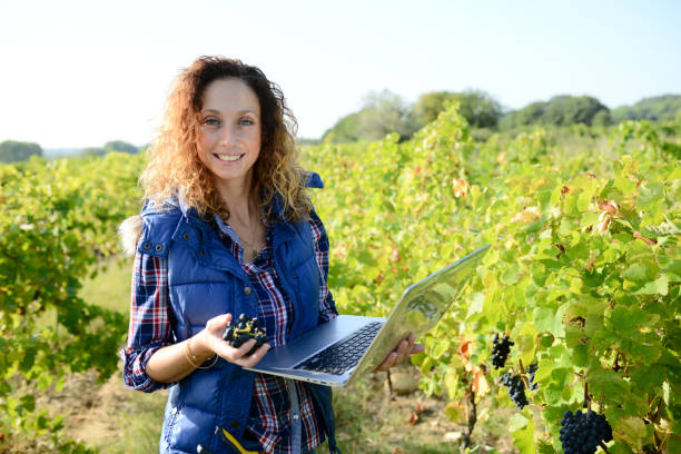 istock cheerful young woman agriculture engineer with a laptop computer in vineyard 1041477406