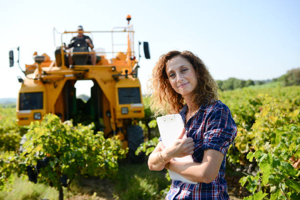 istock cheerful young woman agriculture engineer in a vineyard before grape harvest 1041477452