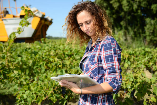 istock cheerful young woman agriculture engineer in a vineyard before grape harvest 1041477470