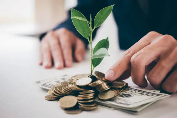 Photo of Hands of businessman putting coin into plant sprouting growing from golden coins and banknotes, business investment and strategy concept