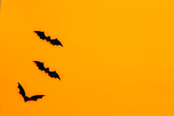istock Bats with an orange background. Halloween concept. 1041488020