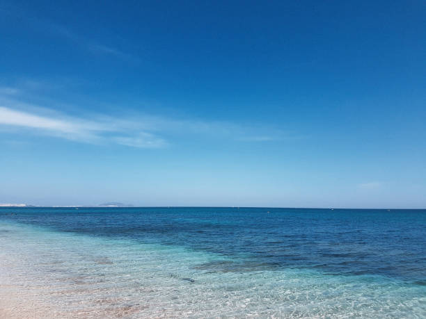 istock scenic view of a beautiful beach - Restinga- Morocco 1041488402
