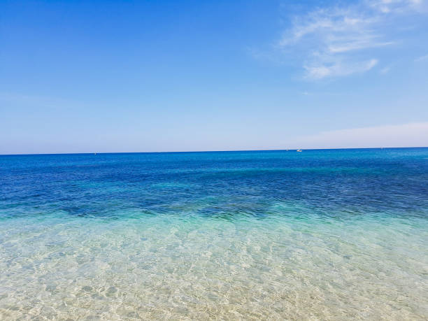 istock scenic view of a beautiful beach - Restinga- Morocco 1041488416