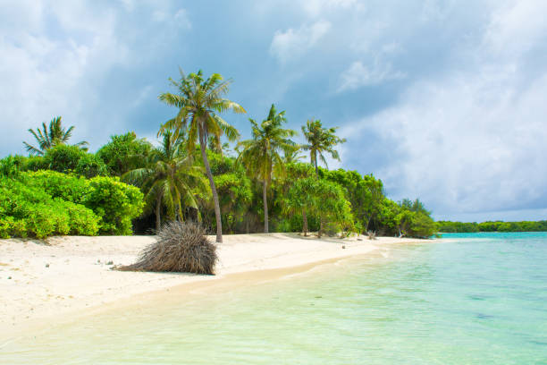 istock Beautiful sandy beach in uninhabited island 1041488490