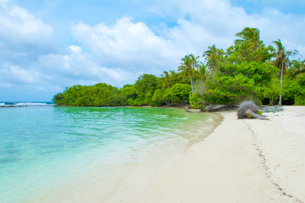 istock Beautiful sandy beach in uninhabited island 1041488498