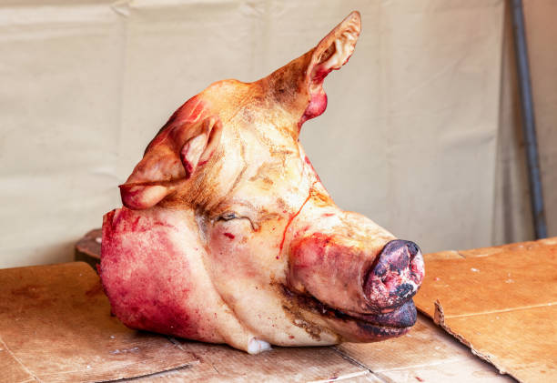 istock Pig head on the table ready for sale 1041489282