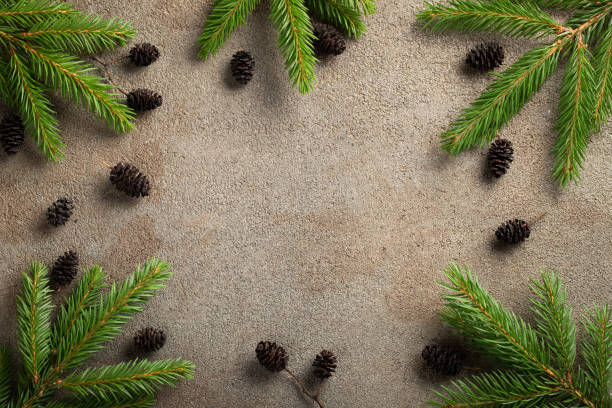 istock Christmas stone background with snow fir tree. Top view with copy space 1041489652