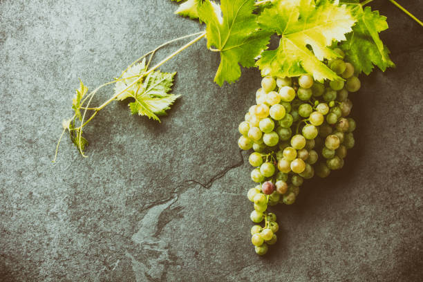 istock Grape and corkscrews wine concept, Stone background, top view 1041490078