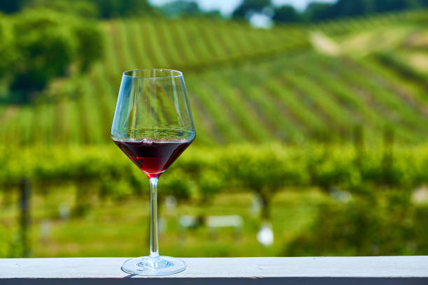 verre de vin rouge et les vignes - vineyard napa valley field in a row photos et images de collection