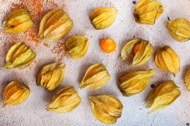 Physalis fruit Physalis fruit on dark background, stock photo gooseberry cape winter cherry berry fruit stock pictures, royalty-free photos & images