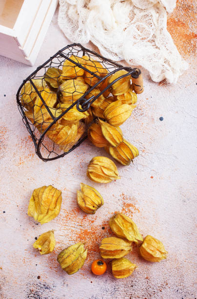 physalis fruits frais - cape gooseberries photos et images de collection