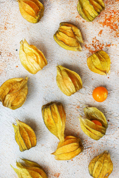 Physalis fruit Physalis fruit on dark background, stock photo gooseberry cape winter cherry berry fruit stock pictures, royalty-free photos & images