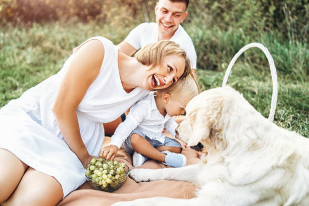 istock Young cute family on picnic with dog 1041508504