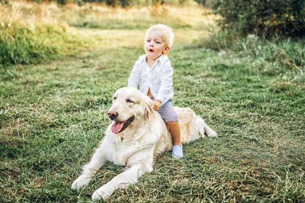 istock Pretty little baby boy have fun with dog 1041508628
