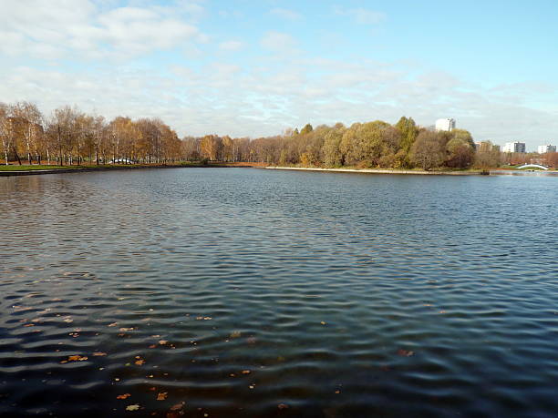 istock autumn in city park at day 104151960