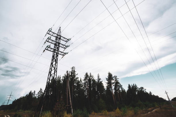 istock High voltage power lines among trees under cloudy sky. Electricity distribution tower in forest with copy space. Minimalist view from below on poles with wires at overcast weather. 1041526278