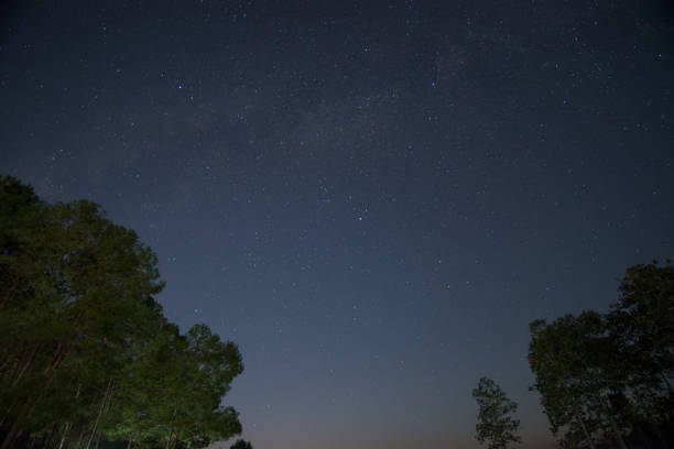 istock Sky and Mountain Forest at Night 1041526296
