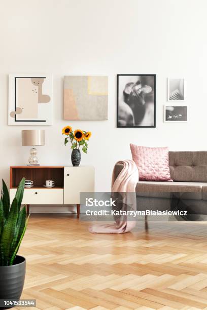 Gallery In White Living Room Interior With Sofa With Pink Pillow And Coverlet Sunflowers On Cupboard And Herringbone Floor In The Real Photo Stock Photo - Download Image Now