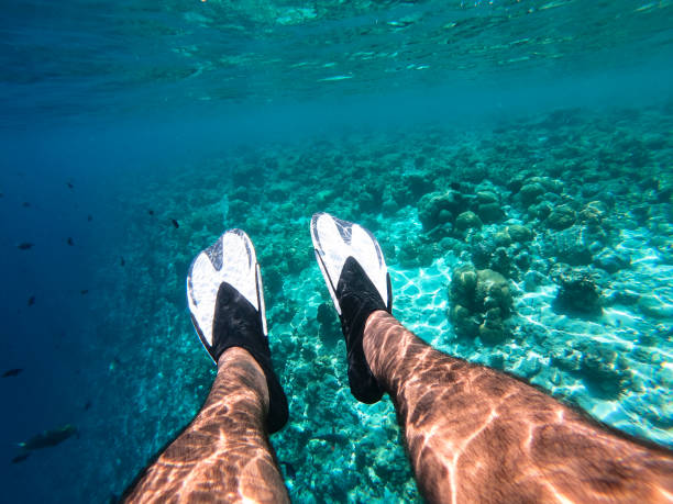 istock Snorkeling in Maldives sea 1041535610