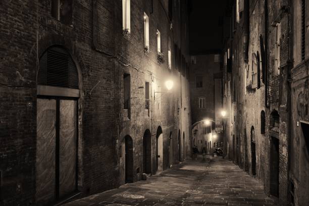 istock Siena street night view 1041541772