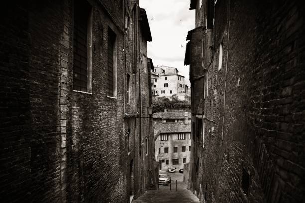 istock Siena street view 1041544346