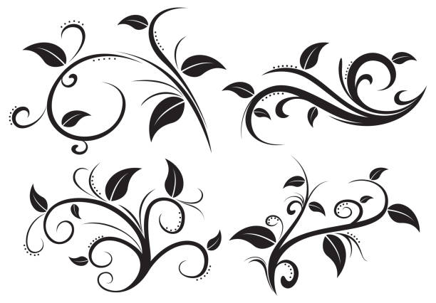 꽃 장식 요소 컬렉션 - black and white scroll shape pattern illustration and painting stock illustrations