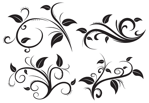 illustration of Floral ornament element collection
