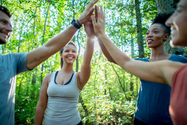 istock Team high five in the woods 1041548508