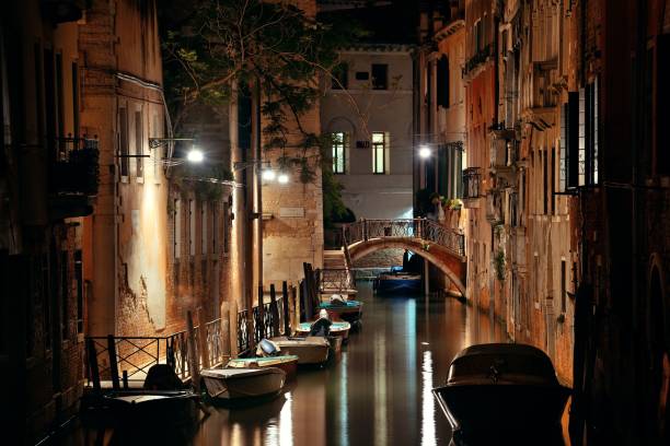 istock Venice canal night bridge 1041561600