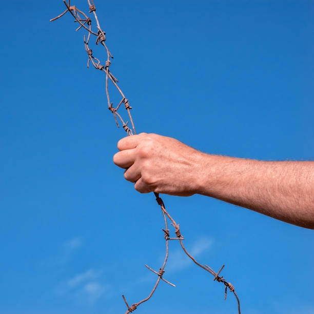 istock barbed wire in a hand against blue sky 1041561904