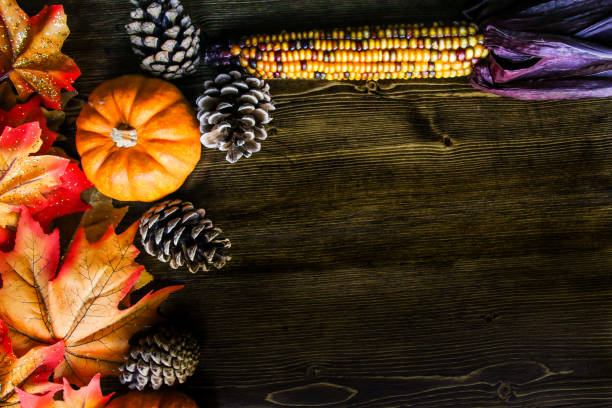 istock Thanksgiving Pumpkin Background 1041564262