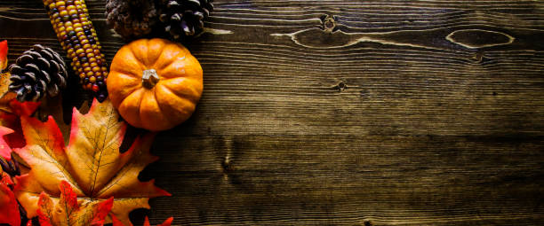 istock Thanksgiving Pumpkin Background 1041564326