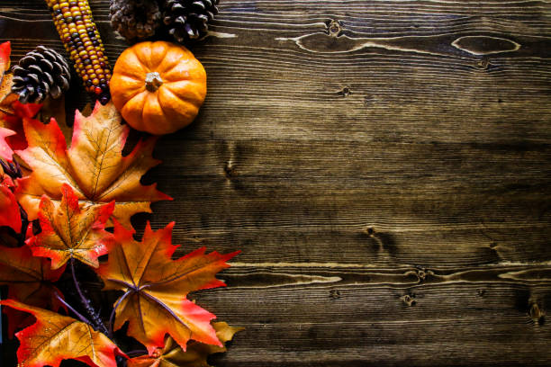 ação de graças fundo abóbora - thanksgiving autumn pumpkin food - fotografias e filmes do acervo