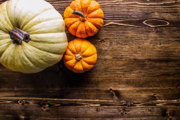 istock Thanksgiving Pumpkin Background 1041564642