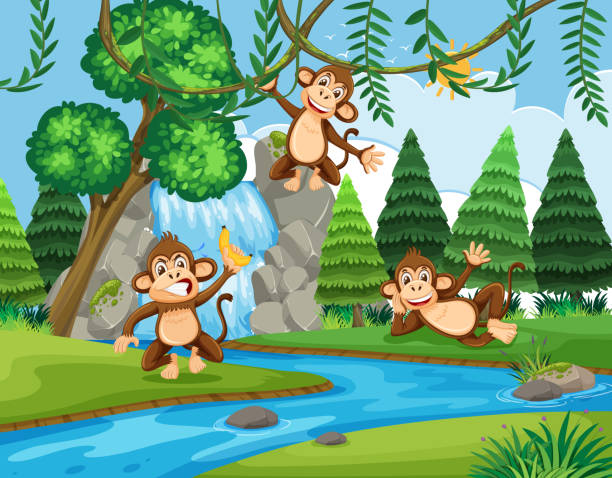 ilustrações de stock, clip art, desenhos animados e ícones de monkey at the forest - waterfall cartoon tropical rainforest vector