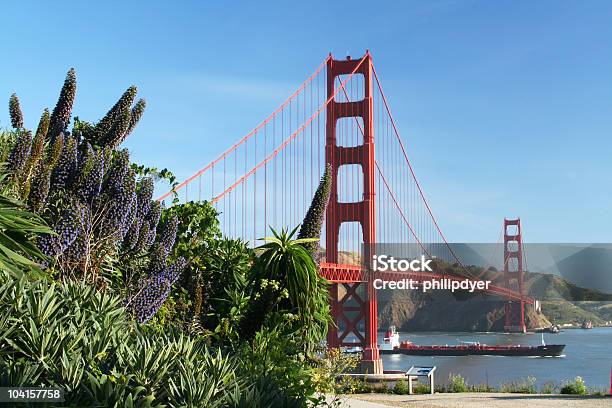 Фиолетовый Цветы На Золотые Ворота — стоковые фотографии и другие картинки Сан-Франциско - Калифорния - Сан-Франциско - Калифорния, Цветок, Fort Point Historic Site