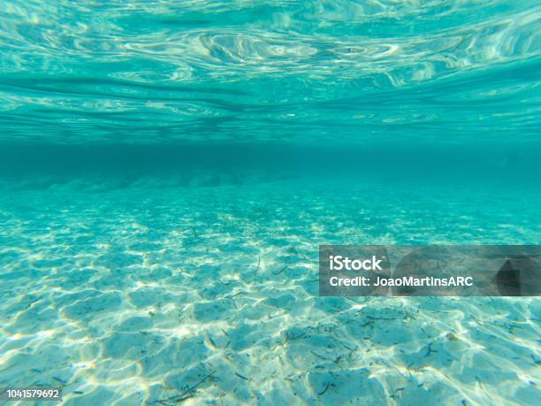 Premium Photo  Water background. mediterranean sea. clear water.