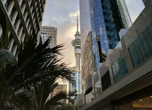 The tallest freestanding tower in the Southern Hemisphere at dusk, as seen from Auckland city