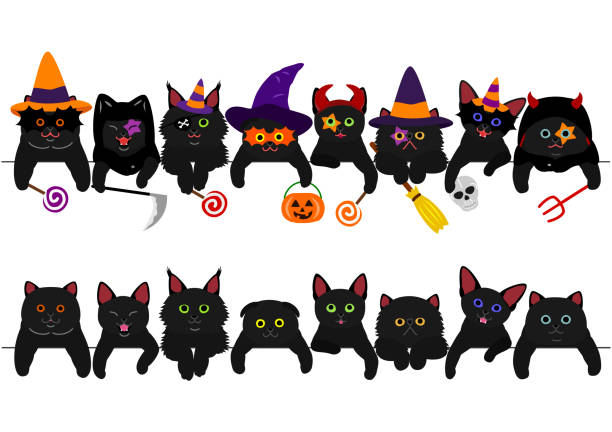 niedlichen schwarzen kätzchen grenze set mit halloween-kostüme - halloween witch domestic cat frame stock-grafiken, -clipart, -cartoons und -symbole