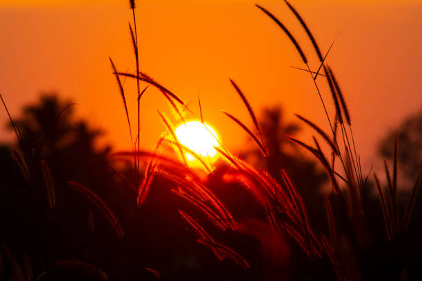 istock Sunset In The Horizon 1041602280