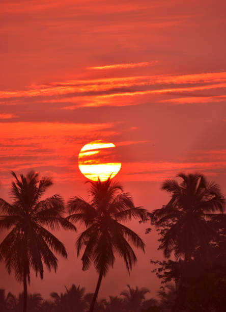 Beautiful Sunset In The Horizon